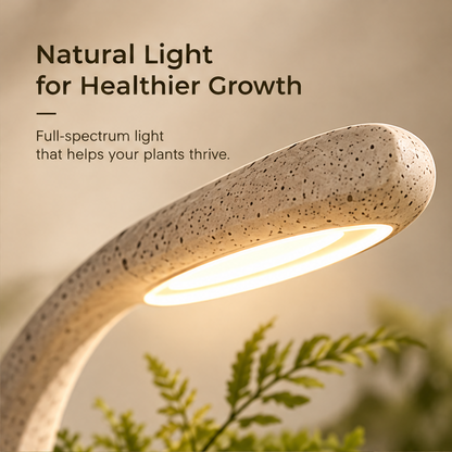 CARTOVE Stone Crescent Grow Light Planter top-down view with moss and ferns — Your Growing Corner