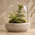 CARTOVE Glass Dome Terrarium clean product shot on neutral surface full view